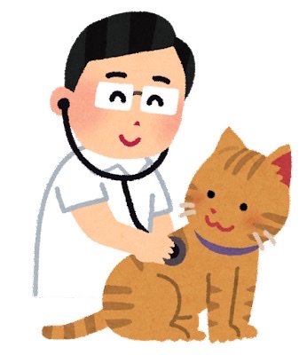 矯正の診査診断について〜お子様〜