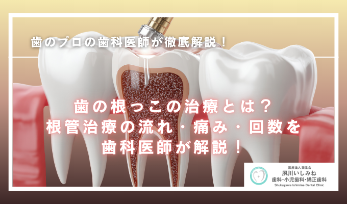 歯の根っこの治療とは?根管治療の流れ・痛み・回数を歯科医師が解説!