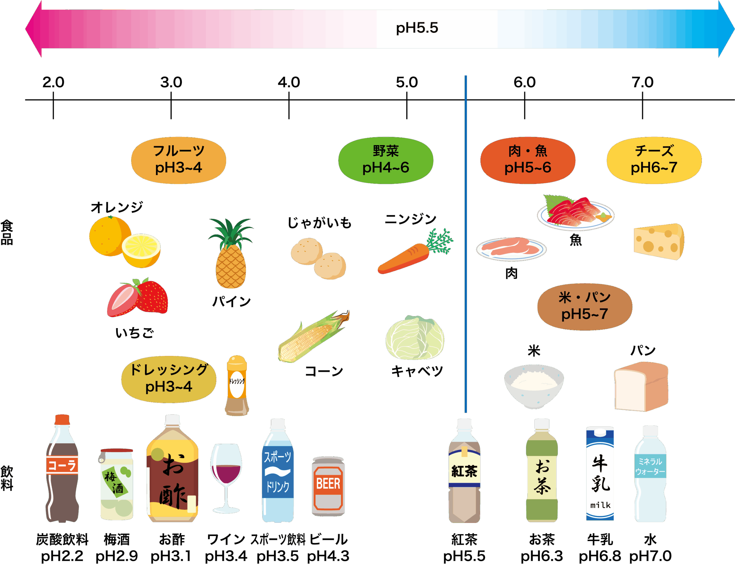 歯と“酸”の関係について