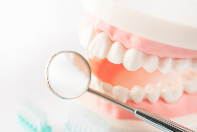 歯の模型と拡大鏡